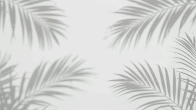 Abstract palm leaf shadows moving on a white wall surface