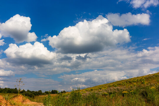 Fluffy white cumulus clouds drifting across a deep blue sky above a rolling grassy hillside with wild plants during a warm summer day in the countryside landscape