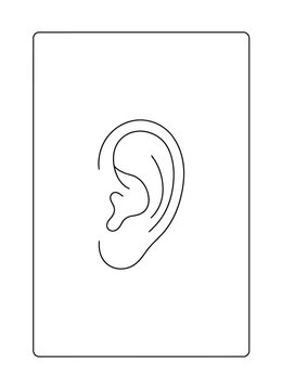 Minimalist human ear line art vector, anatomical ear outline illustration, simple black and white sensory organ icon for medical and health design