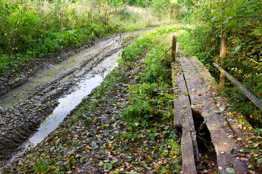 Muddy rural road with deep tire ruts next to a makeshift wooden footbridge in a lush green forest, autumn foliage scattered on the ground under soft sunlight