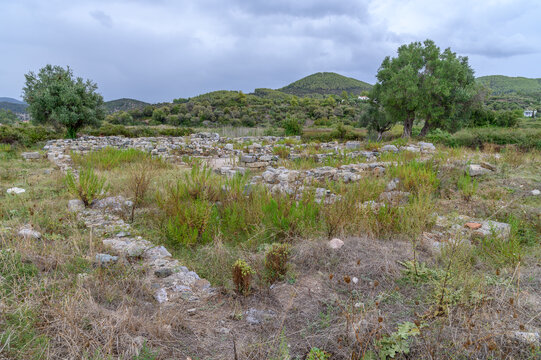 Low stone foundation walls of an ancient ruin in a meadow with olive trees and green hills under an overcast sky, Toroni, Sithonia, Chalkidiki, Greece