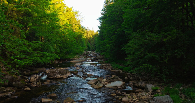 Scenic mountain river flowing through a dense green forest with large rocks and clear water. Peaceful wilderness landscape captured during spring, ideal for nature and travel themes.