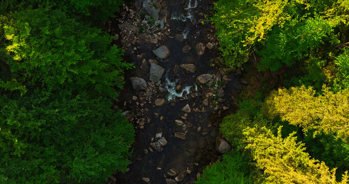Aerial top-down view of a winding river flowing through a lush green forest. Scenic wilderness landscape with rocks and trees, perfect for nature, travel and environmental concepts.