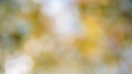 Abstract bokeh background showing defocused light circles with soft natural tones, creating a tranquil and ethereal atmosphere suitable for various overlay and design purposes © iloli