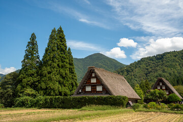 世界遺産、白川郷合掌集落の秋、三つ子合掌と稲穂 © Hiro074