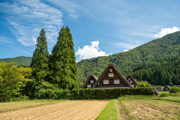 世界遺産、白川郷合掌集落の秋、三つ子合掌と稲穂 © Hiro074
