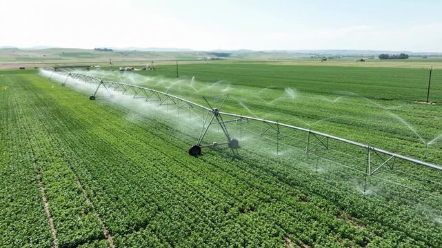 Aerial view of center pivot irrigation system watering green agricultural crop fields agriculture farming