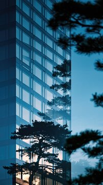 Modern glass skyscraper reflecting pine trees with blue sky background and copy space