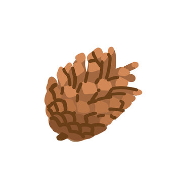 Spruce or pine cone. Fir wood decoration plant. Christmas holiday clip art. Natural forest design element. Brown conifer decor. Isolated flat vector illustration
