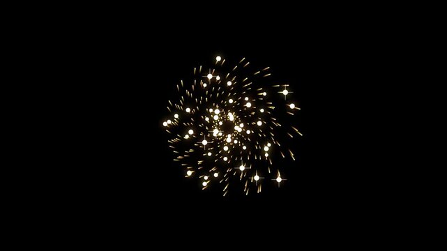 A single bright firework explosion isolated against a pitch black night sky.