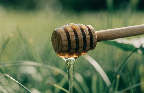 木製のハニーディッパーから滴る蜂蜜