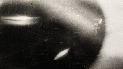 Obraz premium Old film texture with scratches, noise and light leaks. Realistic transparent overlay film texture in black-white, dust and grain. Distressed retro movie or photo negative effect of cinema nostalgia