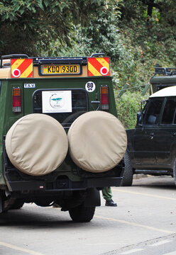 Rear View of Custom Green Toyota Land Cruiser Safari Tour Vehicle with Dual Spare Tires