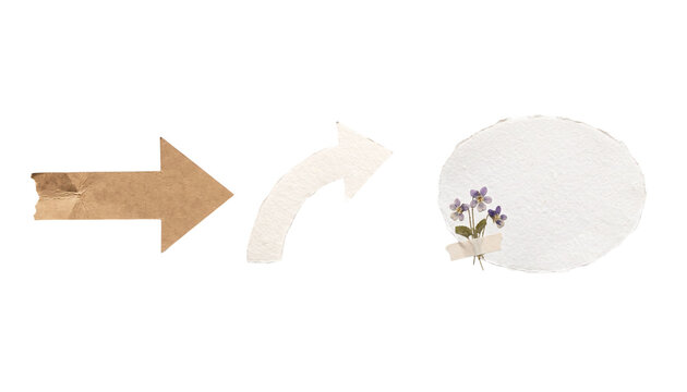 Torn kraft paper arrows and floral oval shape on a transparent background