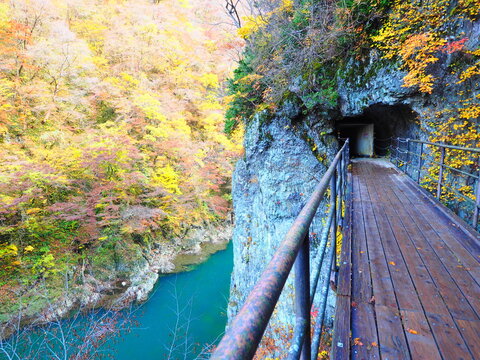 断崖を縫う木道と岩のトンネル 抱き返り渓谷の遊歩道