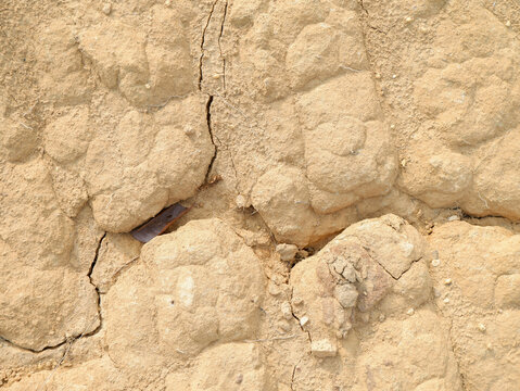 Dry cracked earth soil texture close up, arid clay ground background for climate change concept and environmental design