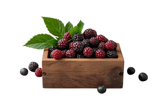 Fresh blackberries in rustic wooden box with green leaves isolated