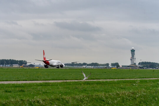 helvetic airways airplane landing at Schiphol Airport. Amsterdam, The Netherlands.