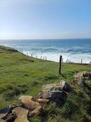 Green coastal pasture overlooking the Atlantic Ocean in Doolin, Ireland © Ramona