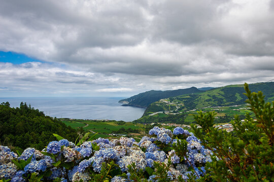 P&ocirc;r-do-Sol viewpoint overlooking the green coastal landscape of S&atilde;o Miguel island, featuring a bay, ocean, rolling hills, and a foreground of blue and white hydrangea flowers under a cloudy sky