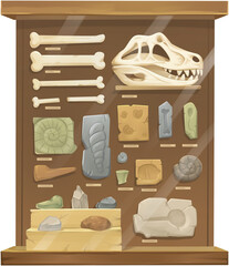 Prehistoric Fossils in a Museum Exhibit Illustration © Hydric