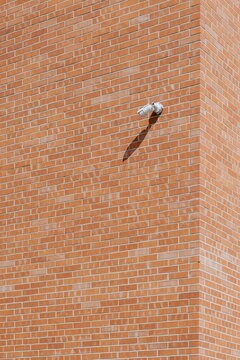 old brick wall with a hole