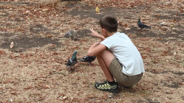 Boy feeding birds and squirrels at park