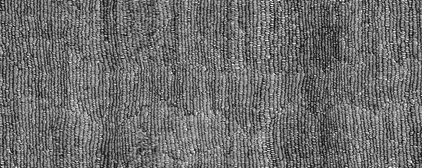 Fototapeta na wymiar Seamless pattern of looped lines drawn with black pen. Horizontal background with vertical ink scribbles. Black and white dense texture with small strokes. Texture with hatching with black pen