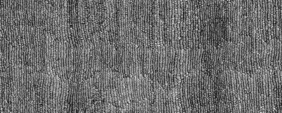 Seamless pattern of looped lines drawn with black pen. Horizontal background with vertical ink scribbles. Black and white dense texture with small strokes. Texture with hatching with black pen