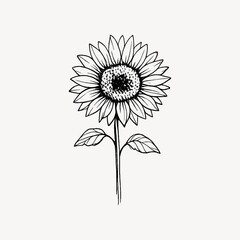 Obraz premium Minimalist sunflower line art drawing.