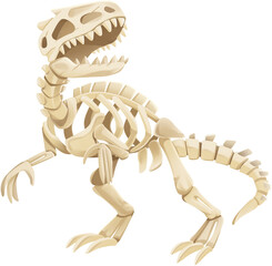 Tyrannosaurus Rex Dinosaur Skeleton Illustration © Hydric