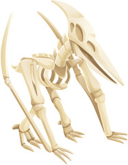Pterodactyl Flying Reptile Skeleton Illustration © Hydric