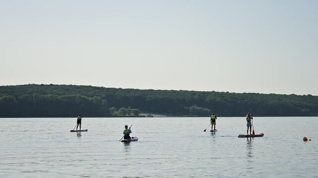 Four people paddleboard across a calm lake near a tree-lined shore, enjoying a peaceful summer outing. Soft light, gentle reflections and relaxed posture convey leisure, balance and outdoor adventure.