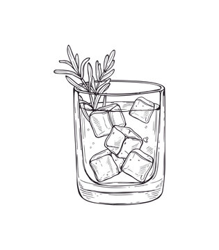 Rocks glass filled with ice cubes and rosemary sprig vector isolated illustration painted by black inks. Monochrome gin graphic sketch for cocktail menu, refreshing summer beverage posters.