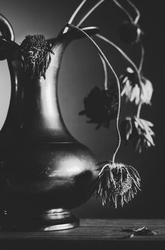 b/w still life with withered flowers in brazen vase. Transcience concept