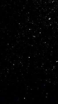 Natural real snow falling , isolated on black background
