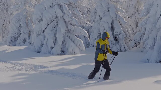 Aerial view of ski mountaineer crossing winter mountains, fresh snow.