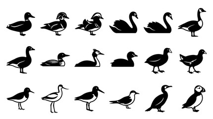 Vector silhouette collection of various water birds ducks geese and swans for design use. © Tah