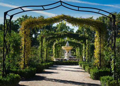 A rose-covered pergola frames a central fountain in the Rosaleda rose garden at Retiro Park, Madrid, Spain. Sunlight and deep shadows create a formal garden perspective.