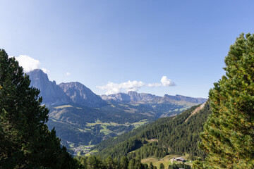 Fototapeta premium Clear blue sky frames rugged mountain peaks. Lush green valleys stretch below with scattered trees. Sunlit pine and conifer branches frame the scene
