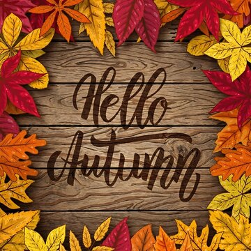 Hello Autumn Handwritten Typography Over Wooden Background With Colorful Leaves Frame