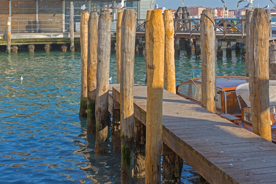 Timber Pilings Wooden Poles Mooring Dock at Grand Canal in Venice Italy
