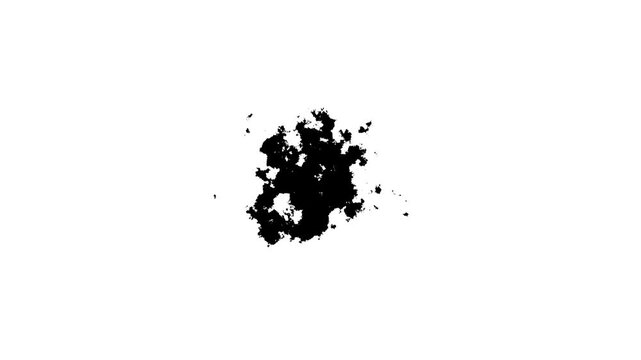 Monochrome grunge ink transition featuring expanding black paint stains on a white background, fluid watercolor splashes and dynamic brush shapes, artistic liquid motion effect, seamless 4k video