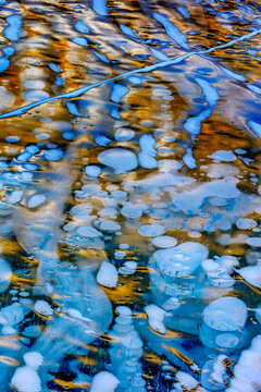 Methane ice bubbles under clear ice on Abraham Lake near Nordegg, Alberta, Canada.