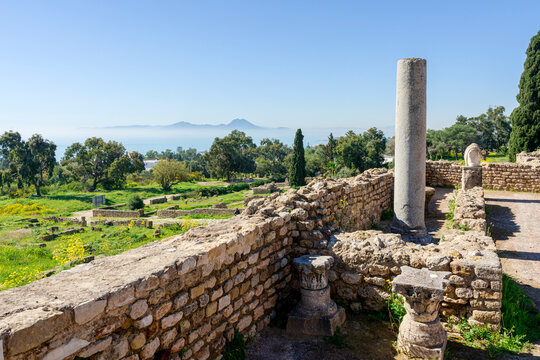 Roman column among the ruins at the archaeological site, Carthage, Tunisia