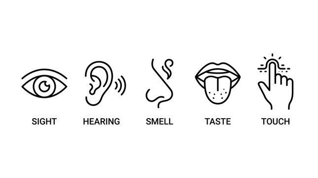 Five Human Senses Icons Sight Hearing Smell Taste Touch