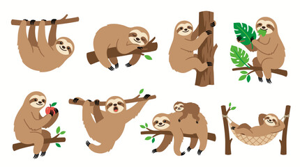 Fototapeta premium Set of cute cartoon sloths in various poses and activities on branches.