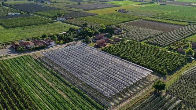 Aerial view of agricultural fields and greenhouses with rows of crops and farm buildings in the countryside of Faenza, Emilia-Romagna, Italy.