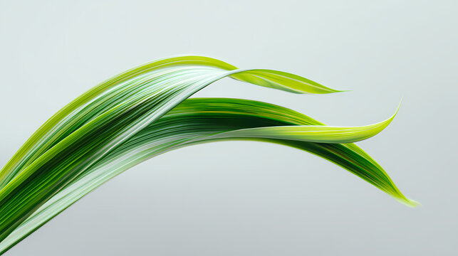 Leaves of lush green plant curve gracefully across a neutral grey background creating a serene natural composition.