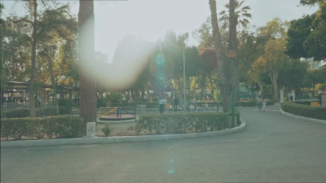 Cinematic view of a winding public park alley with a bright artistic sun flare in the foreground. 